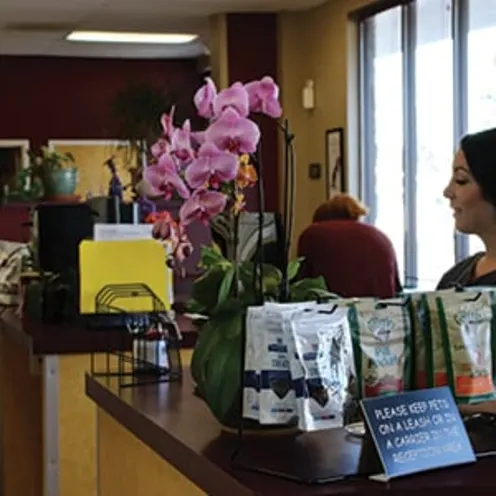 Front desk of Evergreen Veterinary Clinic with flowers, files, and other items